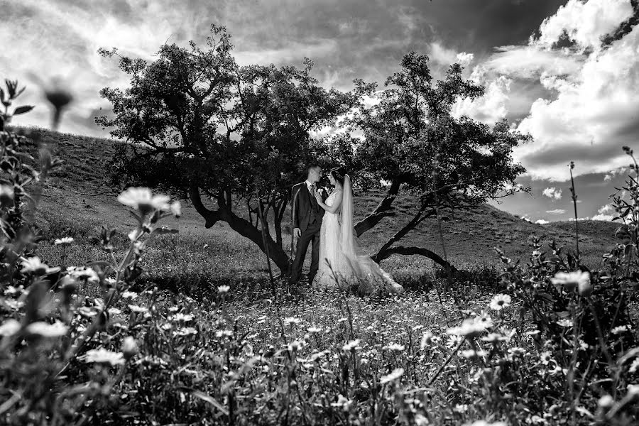 Wedding photographer Sergey Samoylov (sergey7645). Photo of 14 July 2021