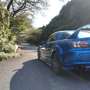 RX-8 SE3P