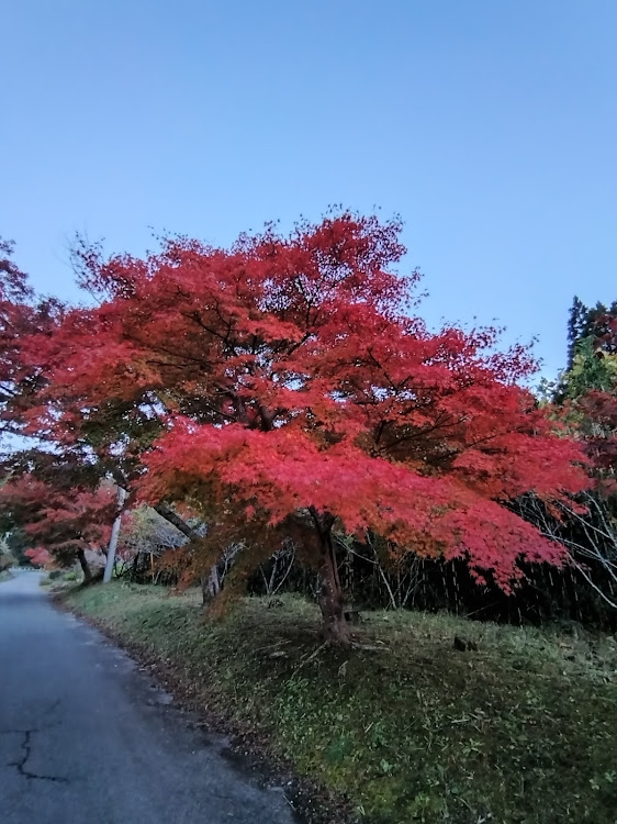 の投稿画像3枚目