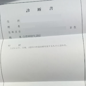 カローラフィールダー NKE165G