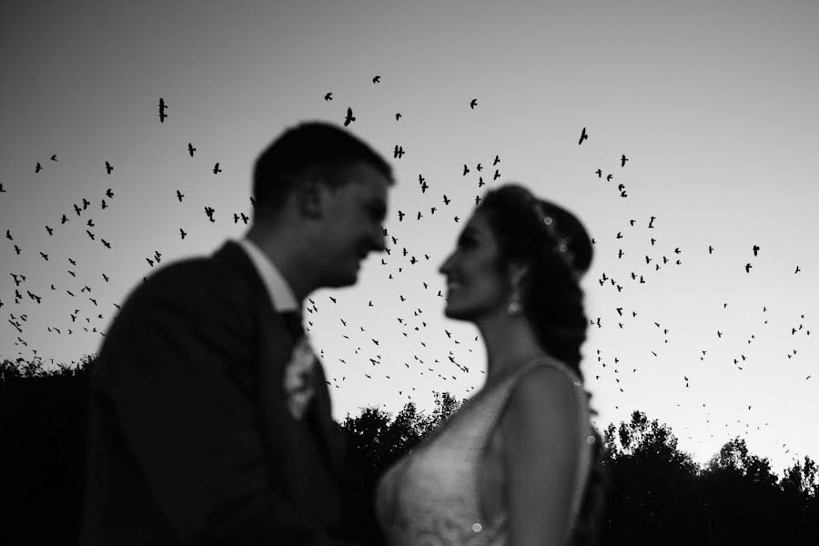 Düğün fotoğrafçısı Nemanja Matijasevic (nemanjamatijase). 20 Kasım 2017 fotoları