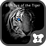 Cover Image of Download Theme -Blue Eye of the Tiger- 1.0.1 APK