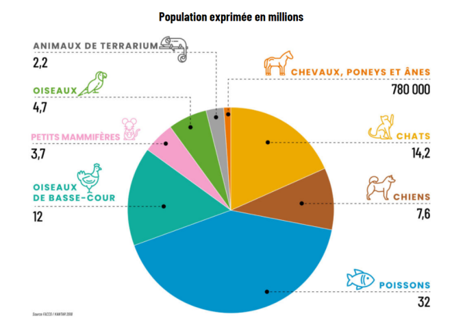 infographie avec la représentation de chaque espèce animale en France et en %