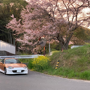 ロードスター NB6C