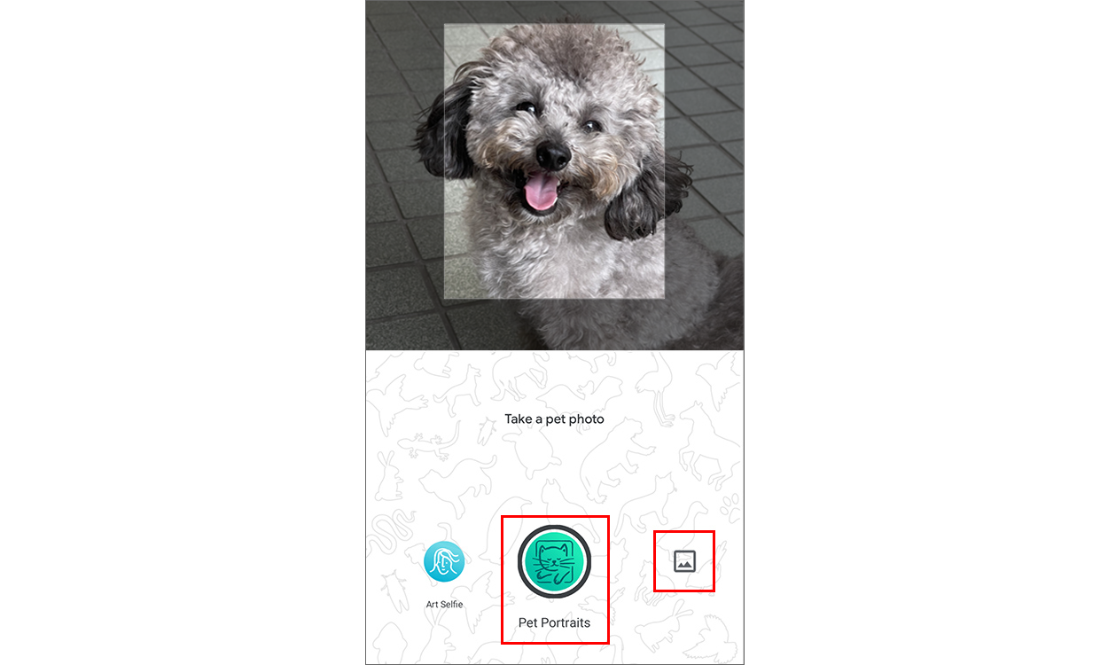 「Pet Portraits」のアイコンと 左にスワイプすると出てくる写真アイコンの表示画面