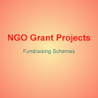 NGO Grant Projects Fundraising Schemes