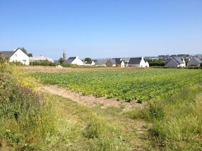 Vente terrain  376 m² à Saint-Pol-de-Léon (29250), 64 900 €