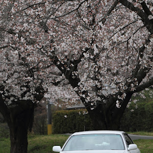 チェイサー JZX100