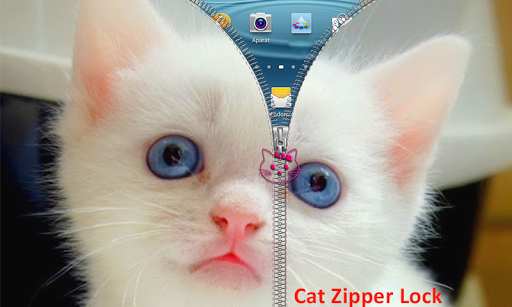 Cat Zipper Lock