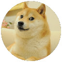 Doge Theme Chrome extension download