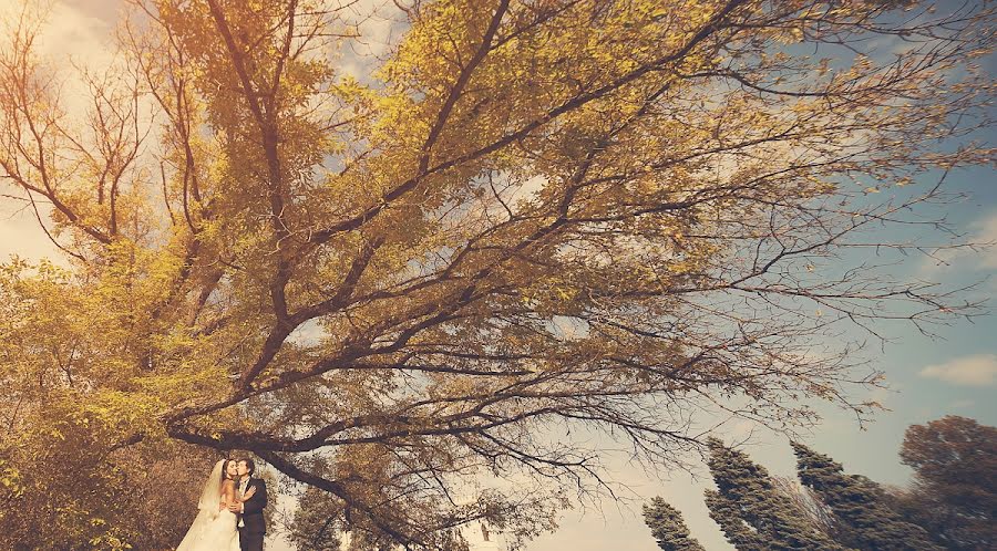 Photographe de mariage Marina Vetlugina (heyday). Photo du 14 octobre 2013