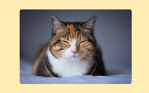 Ban Twitter with Cats