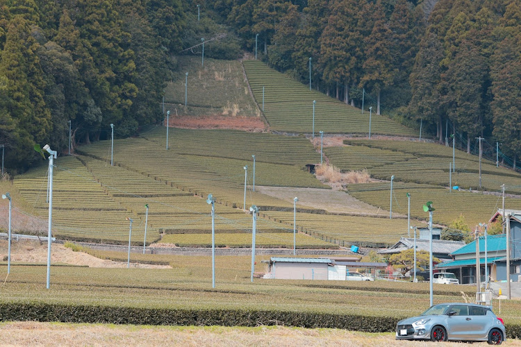スイフトスポーツの川根本町・川根・川根本町へ・川根ドライブ・川根町に関するカスタム事例の投稿画像1枚目