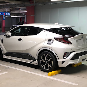 C-HR ZYX10