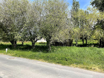 terrain à Brem-sur-Mer (85)