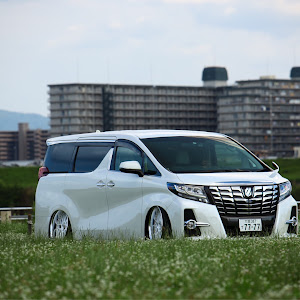 アルファード AGH30W