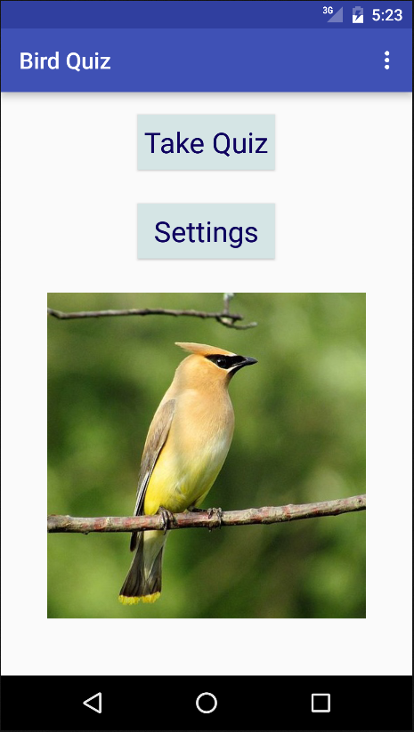 Michigan Bird Quiz Screen 1