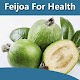 Download Feijoa For Health For PC Windows and Mac 1.0.0