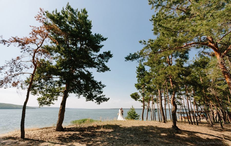 Fotógrafo de casamento Anna Shaulskaya (annashaulskaya). Foto de 30 de agosto 2019