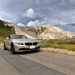Z4 ロードスター sDrive 35i