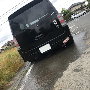 bB NCP31
