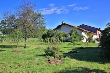 maison à Pont-de-Vaux (01)