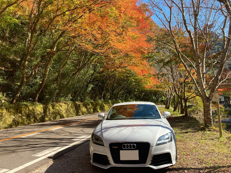 TT RS クーペの紅葉・紅葉と愛車・ドライブ・寒いに関するカスタム事例の投稿画像1枚目