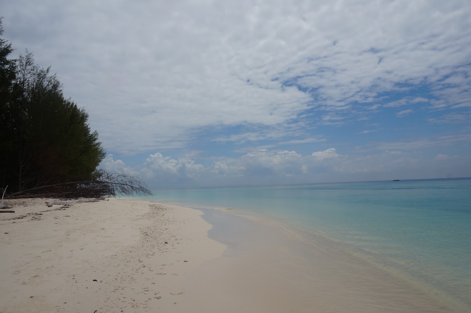 DSC08525.JPG