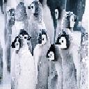 Penguin Huddle Chrome extension download