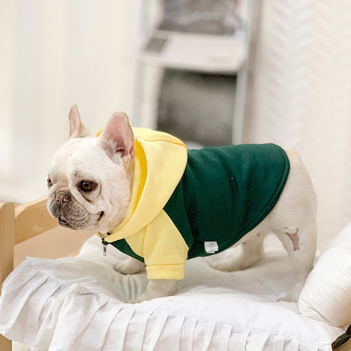 miniatures image - 10