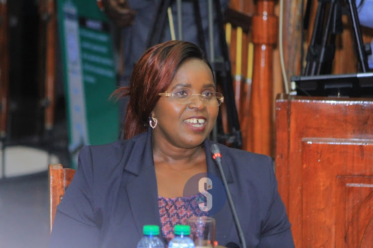 Tourism, Wildlife and Heritage Cabinet secretary nominee Peninah Malonza.