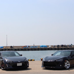 86 ZN6