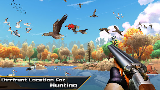 Screenshot Bird Hunting Games