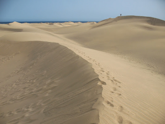 "Caminante son tus huelles al camino y nada màs". Antonio Machado di AlessandraPaci