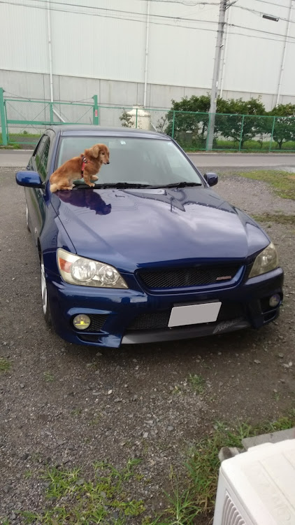 アルテッツァのドライブ・洗車・ポポコラボ！！に関するカスタム事例の投稿画像4枚目