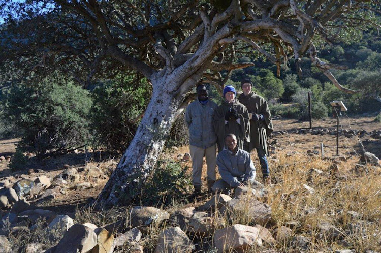 At the venerable shepherd’s tree, from left ranger Dumisani Nleya, tracker Rowan Benadie and visitors Jude and Ben Rogers