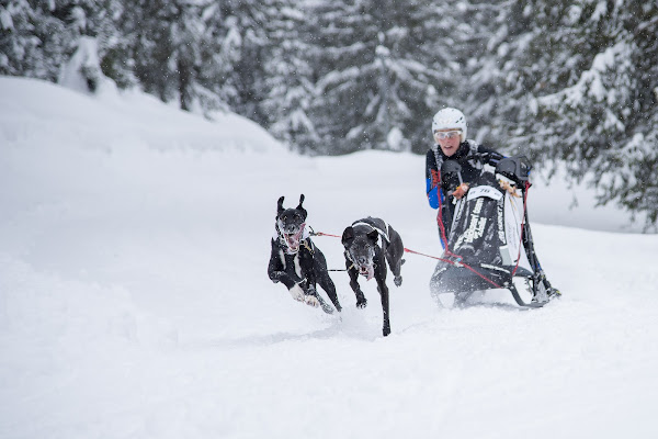 Sport a Dicembre ! di Claudio Tenca