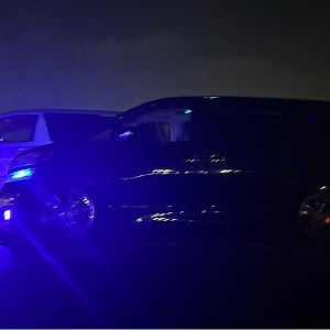 ヴェルファイア ANH20W