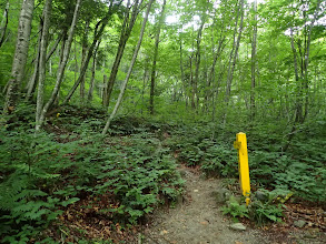 ここから登りが始まる