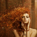 Cover Image of Download Autumn Wallpapers 1.5.1 APK