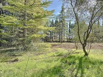 terrain à Loriol-du-Comtat (84)