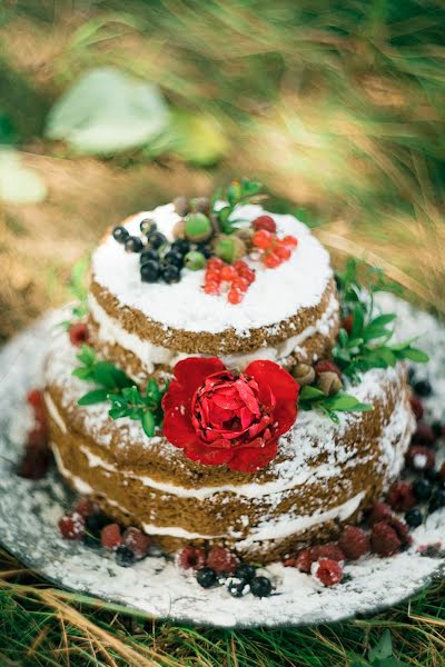 Photographe de mariage Andrey Yaveyshis (yaveishis). Photo du 25 janvier 2016