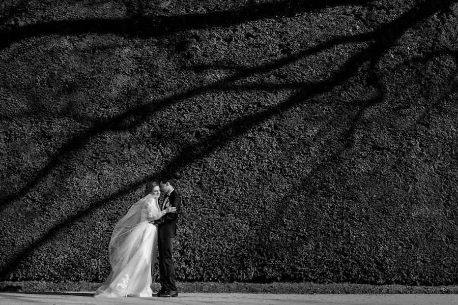 Fotógrafo de bodas Lubow Polyanska (lupol). Foto del 10 de marzo 2019