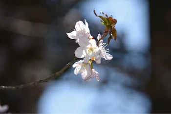 浮気