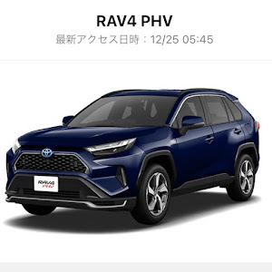 RAV4 AXAP54