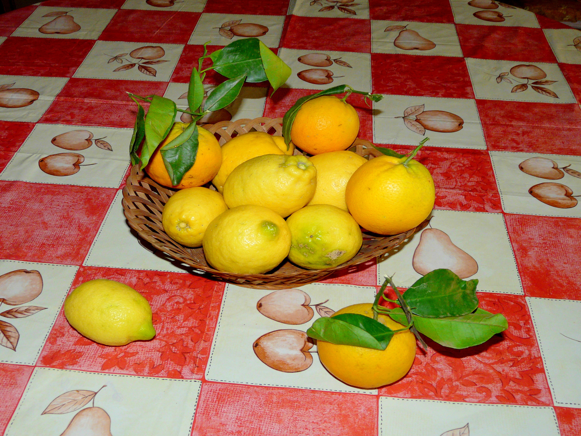 Canestra di limoni e arance di Mario Romano