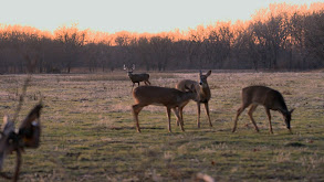 The Wells Men in Kansas #2 thumbnail