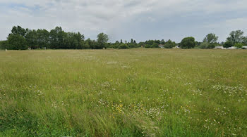 terrain à Montpon-Ménestérol (24)