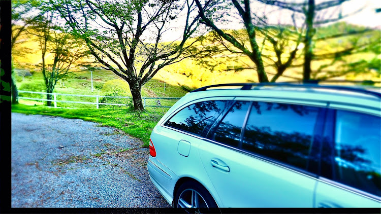 Eクラス ステーションワゴンの牧場までドライブ・新緑に関するカスタム事例の投稿画像4枚目