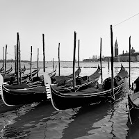 Triste venezia di 